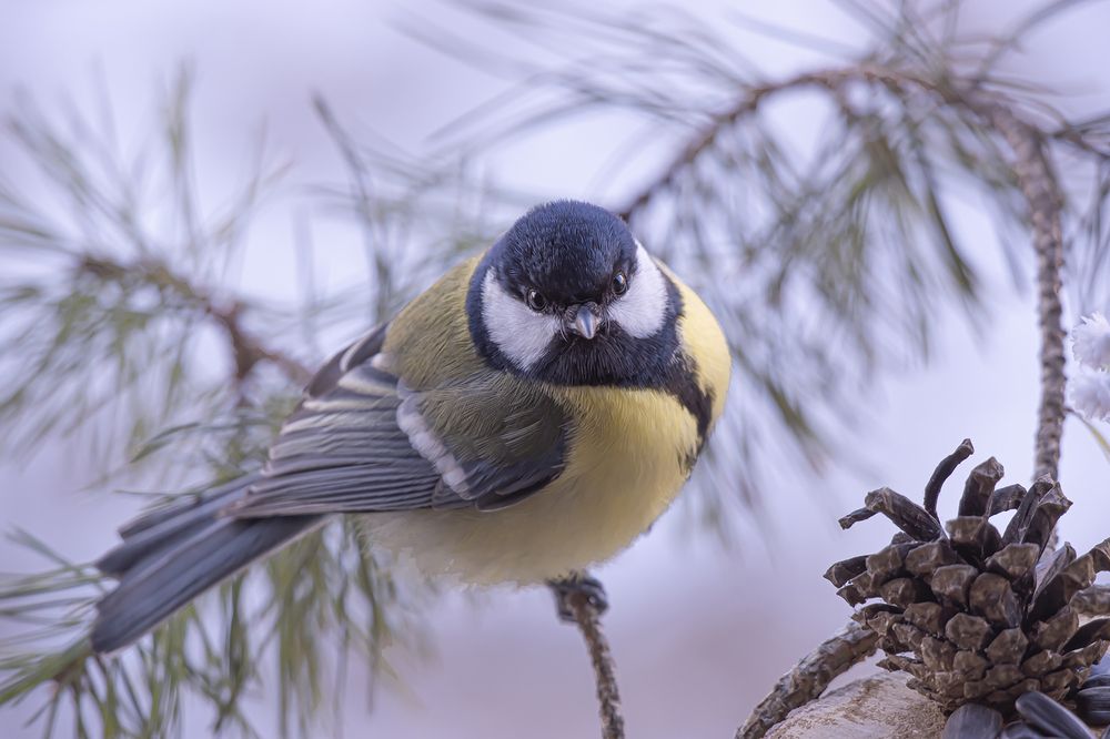 Photograph by Бурикова Екатерина