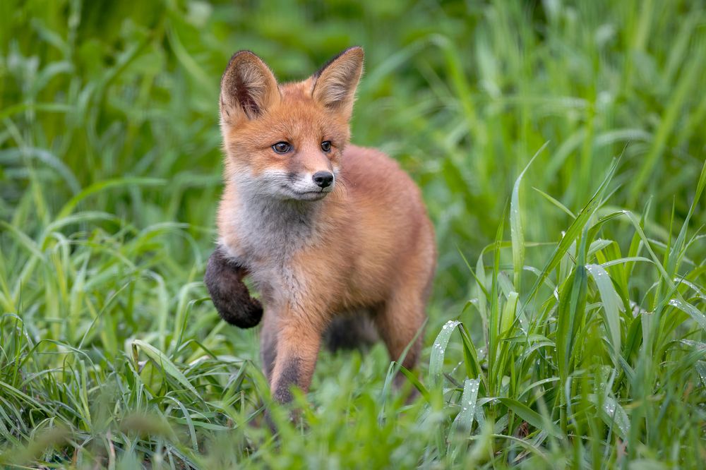 Photograph by Антон Науменко