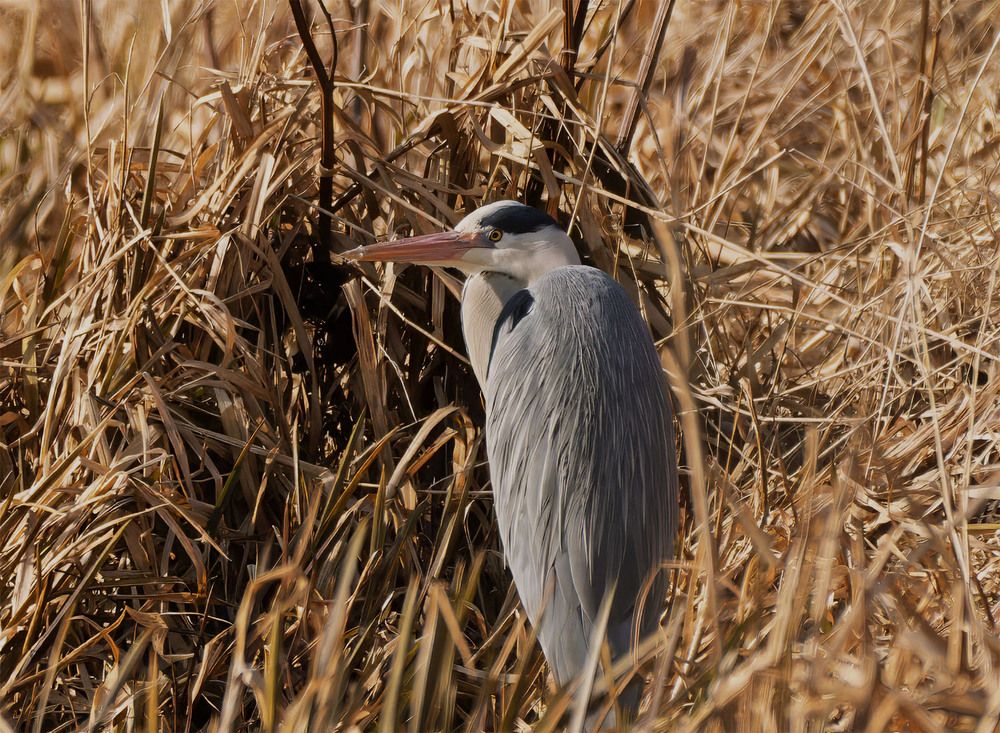 Photograph by wendy vanhoudt