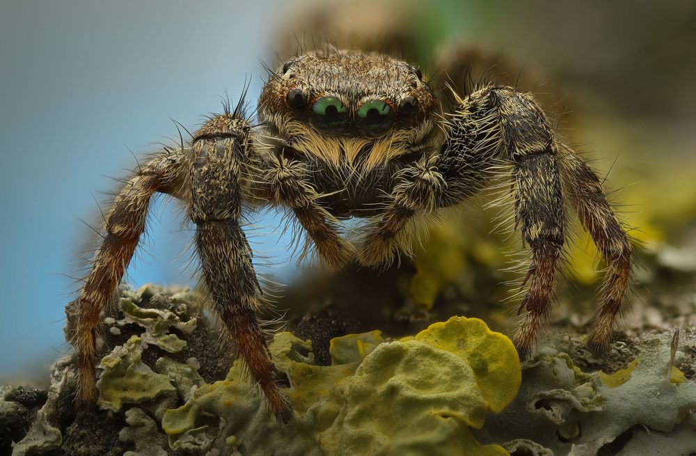 Photograph by Юрий Юрьевич Подгрушный