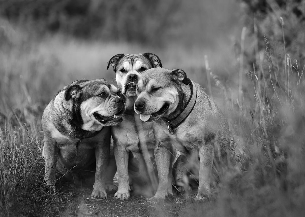 Photograph by Яна Карамышева