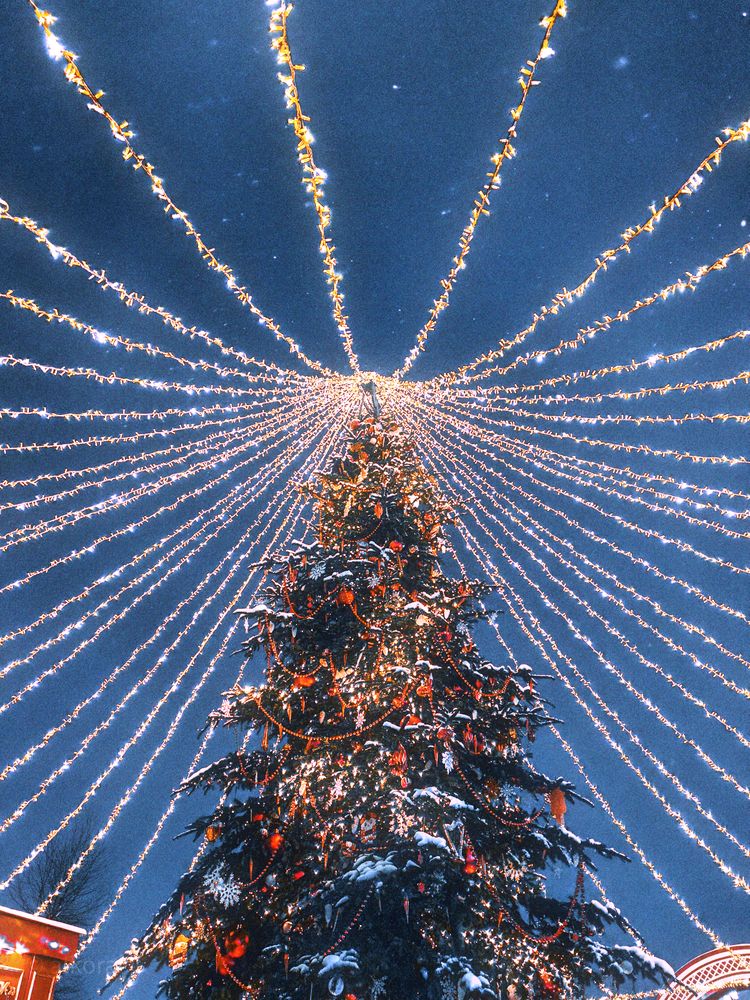 Новогодние открытки