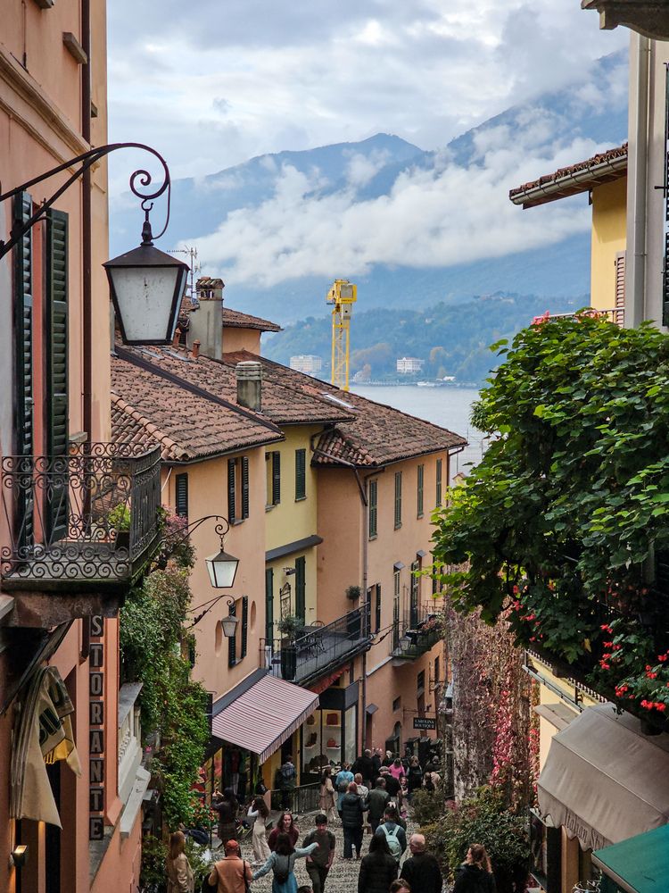 Фотография автора Ольга Шишук