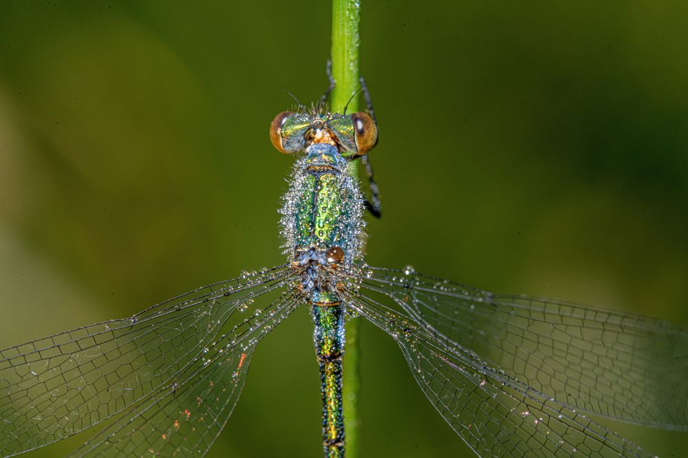 Photograph by Ruslan Badykov