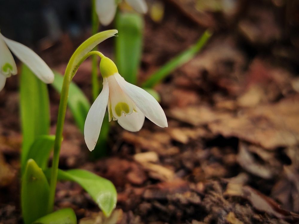 Photograph by Helen Ka