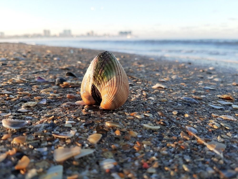 Photograph by Ольга Рыбникова