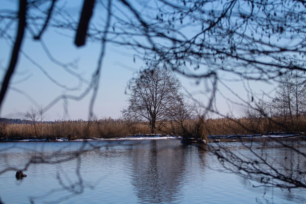 Фотография автора Алина Руденко