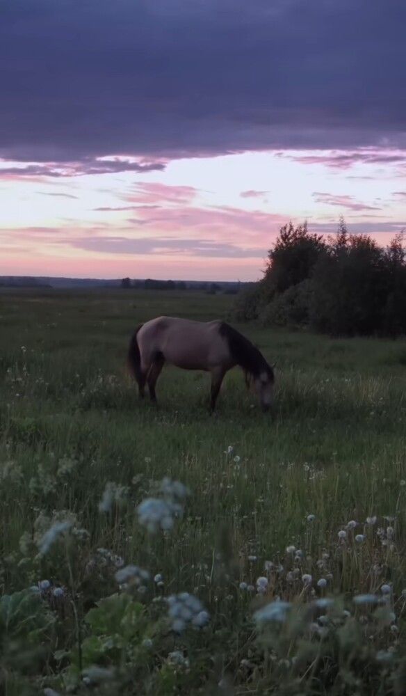 Photograph by Алла Узкая