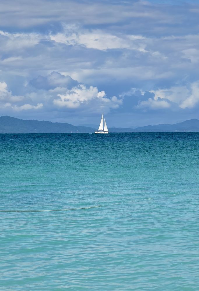 Фотография автора Светлана Зимина