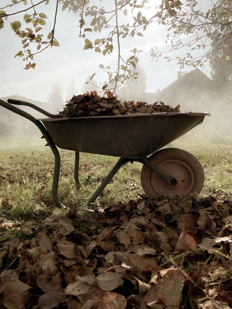 Photograph by Anastasia Bryusova