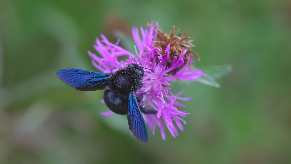 Фотография автора Ельцов Владимир