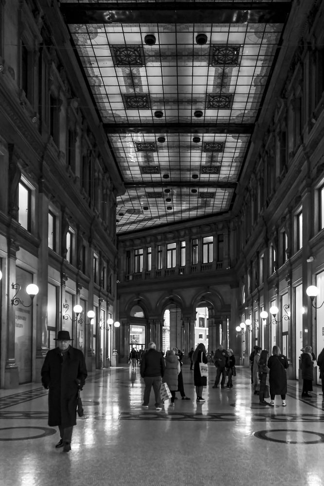 Photograph by Barbara Pindo