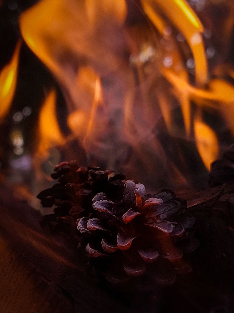 Photograph by Анна Чичилова