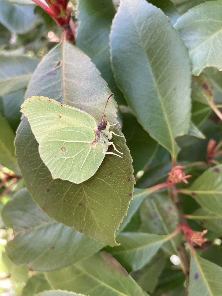 Photograph by Olena Rebrova