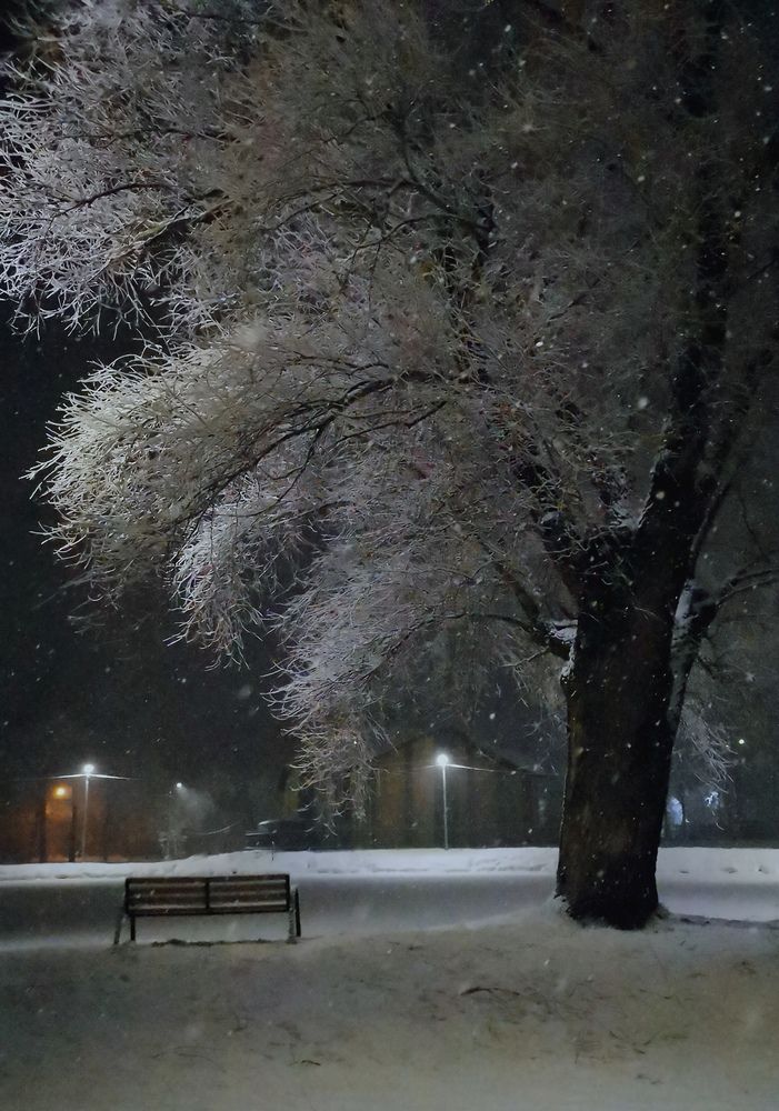 Photograph by Юлия Фомина