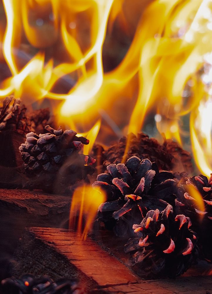 Photograph by Анна Чичилова