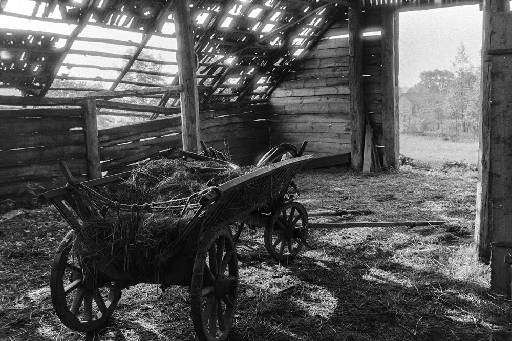 Фотография автора Sergei Globa