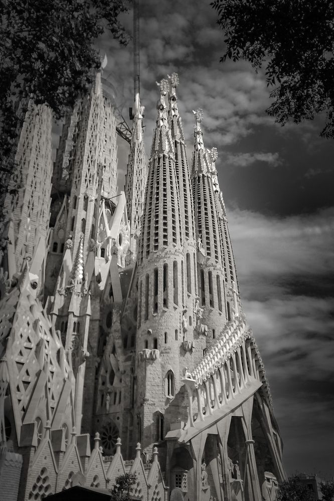 Photograph by Dionisio Navarro Martinez