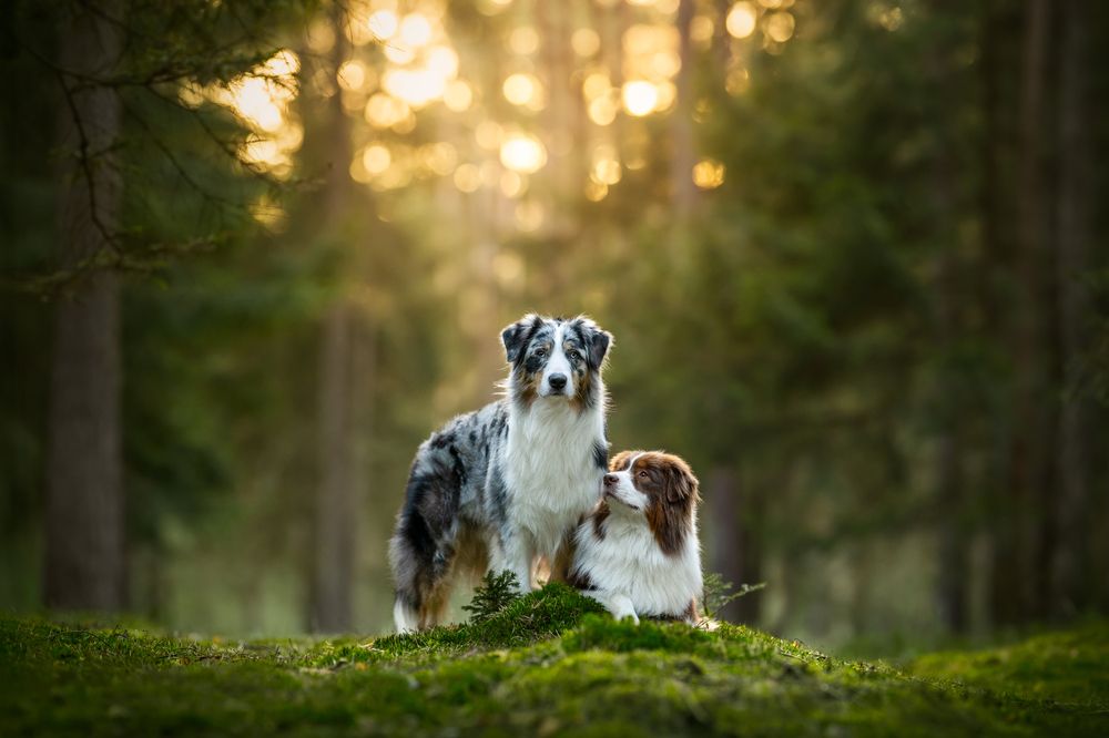 Photograph by Johanna Mehrke