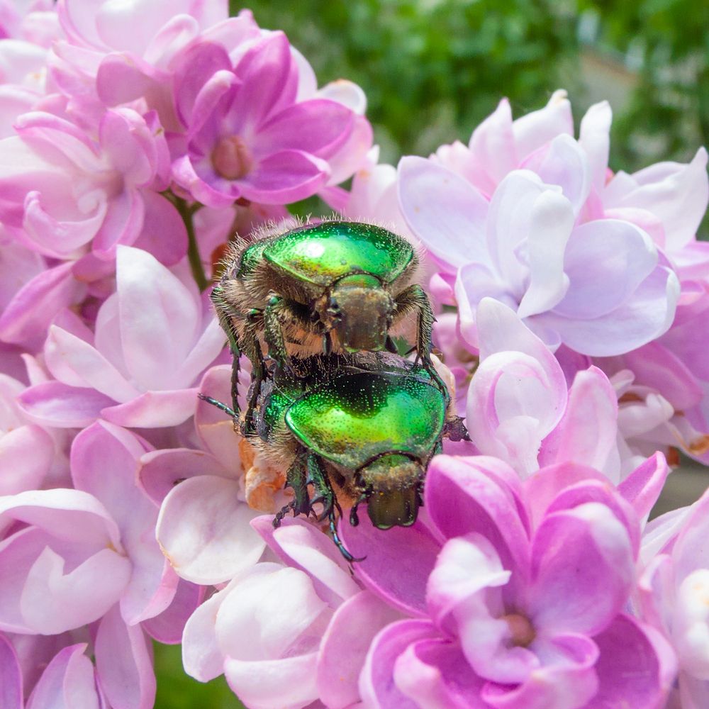 Фотография автора Ельцов Владимир