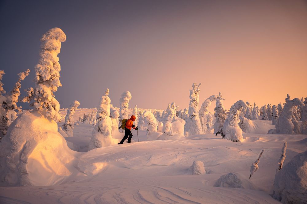 Photograph by Уфимцев Юрий