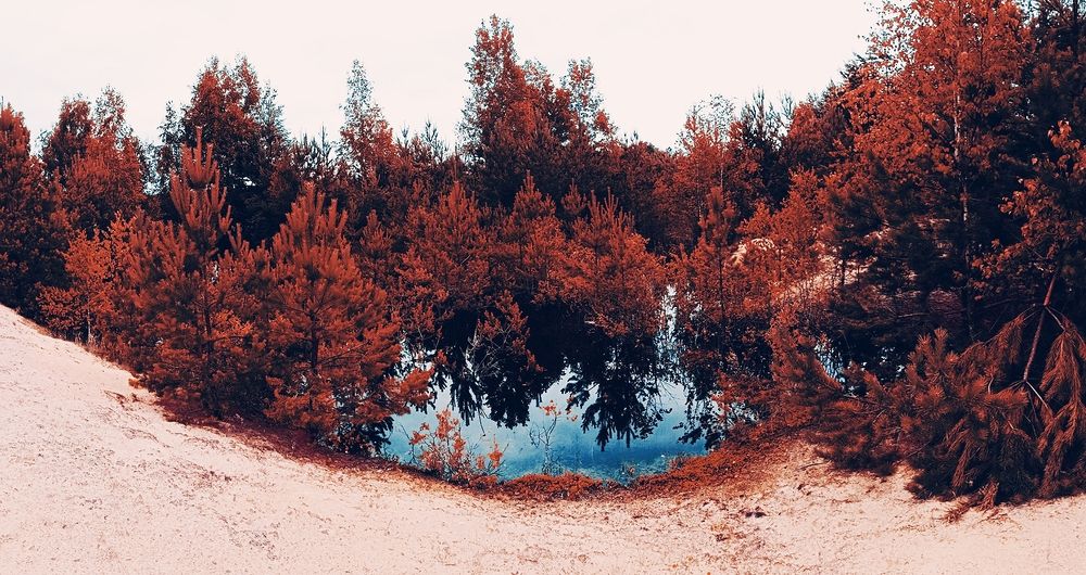 Photograph by Yun Mino