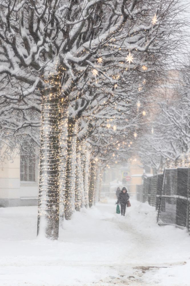 Photograph by Светлана Воробьёва