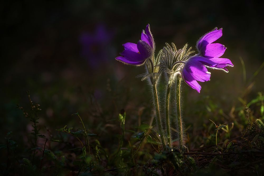 Photograph by Марина Мурашова