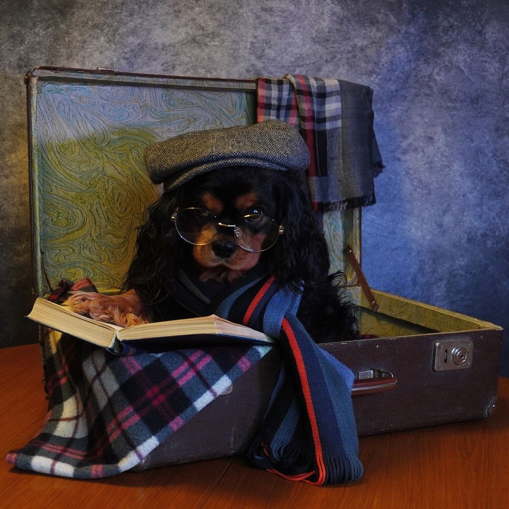 Photograph by Сергей Хохлов