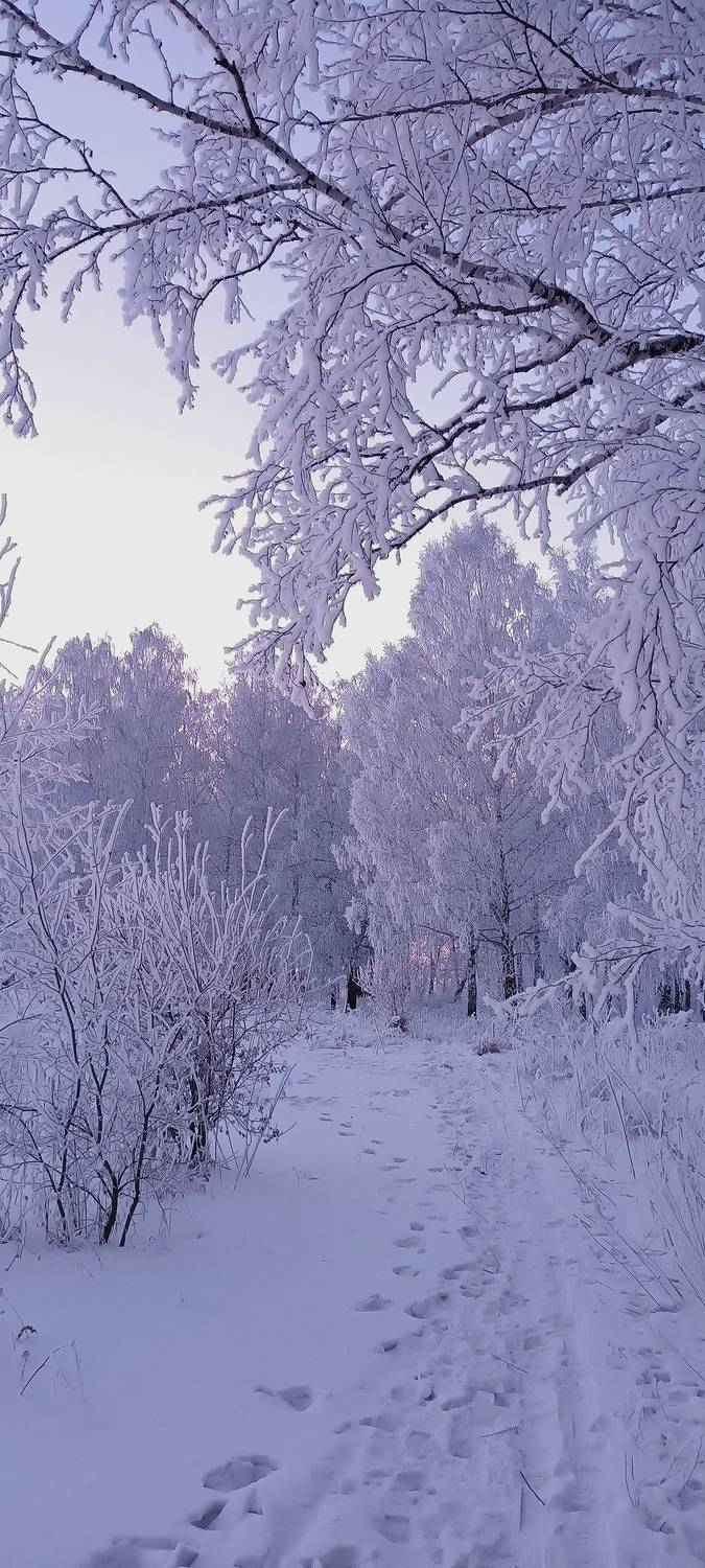 Безмолвное снежное царство...