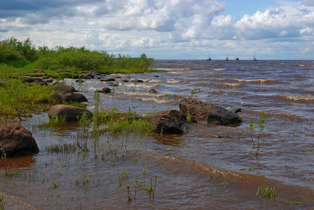 Photograph by Александр Калегин