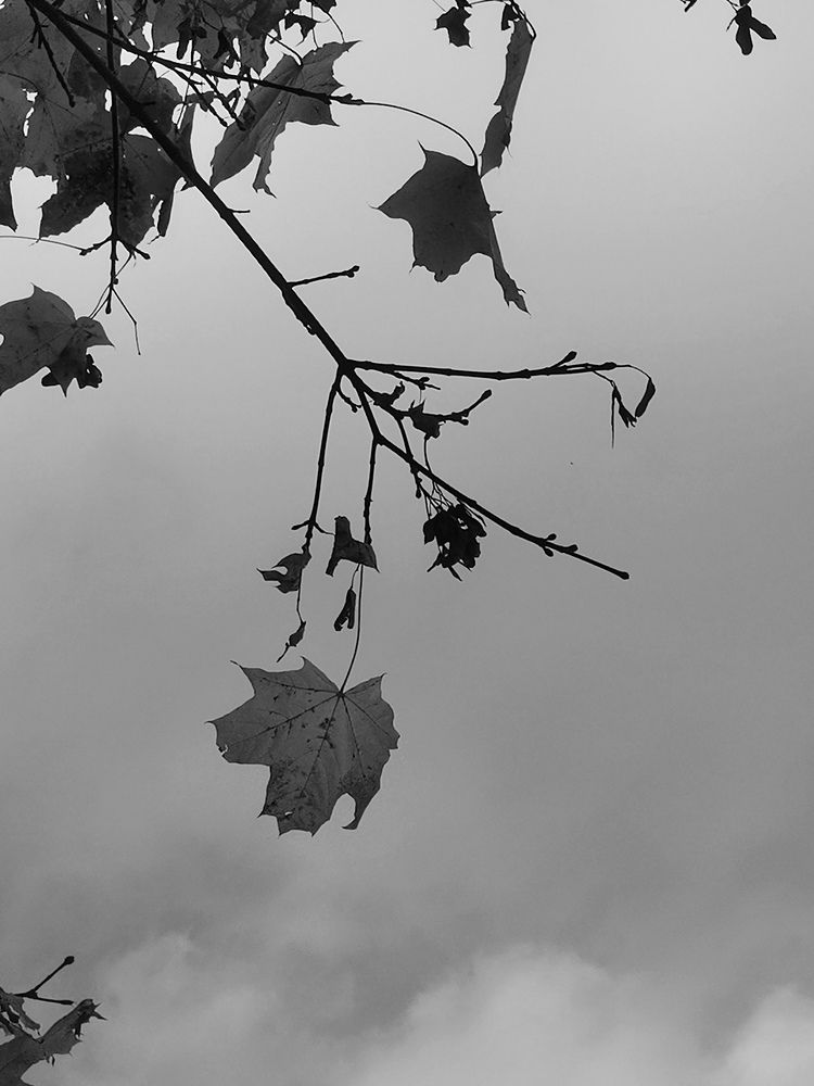 Photograph by Мария Клабукова