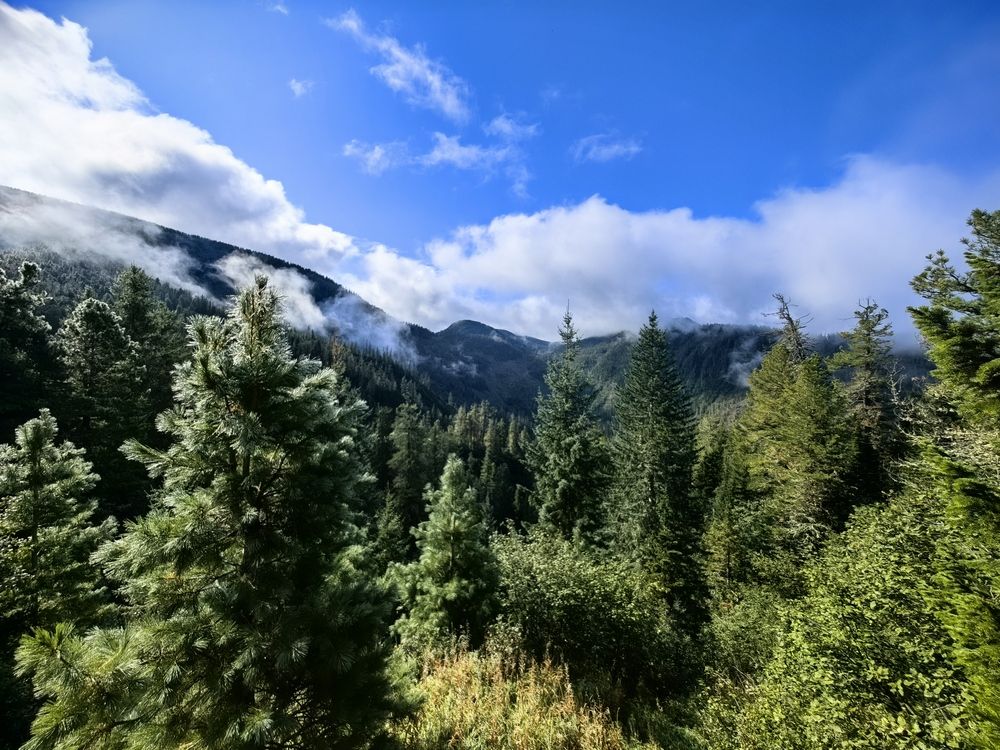 Photograph by Евгений Спиридонов