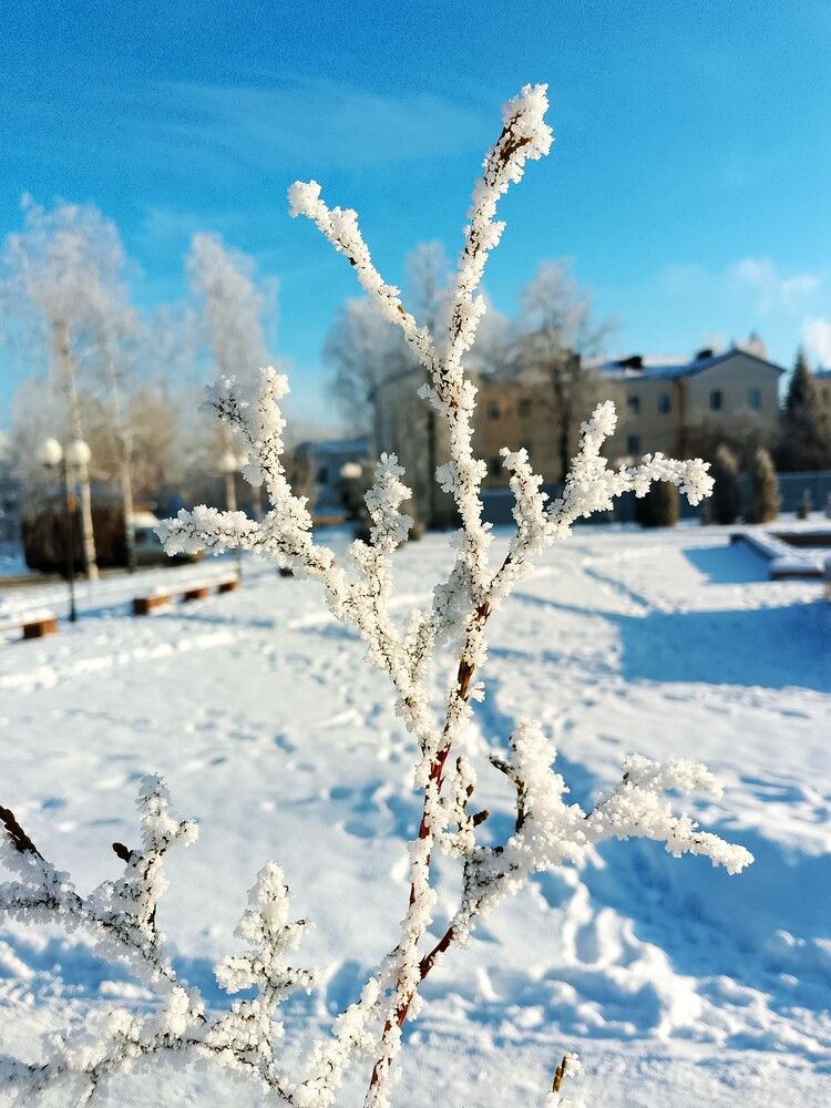 Photograph by Ирина Владимировна