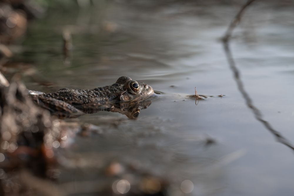 Photograph by Абдул Мигруев