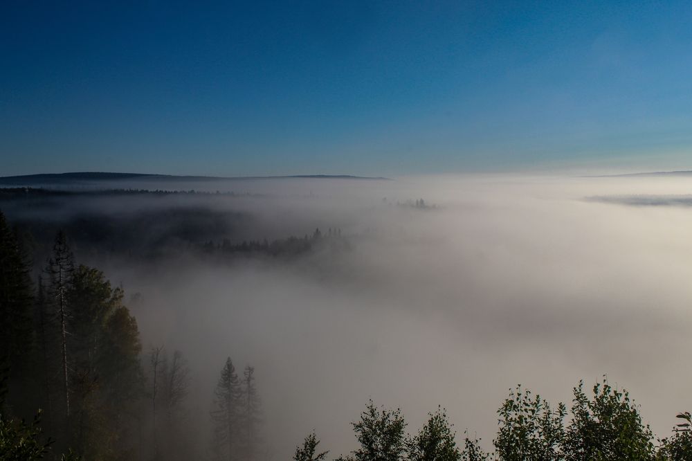 Photograph by Александр Суворов