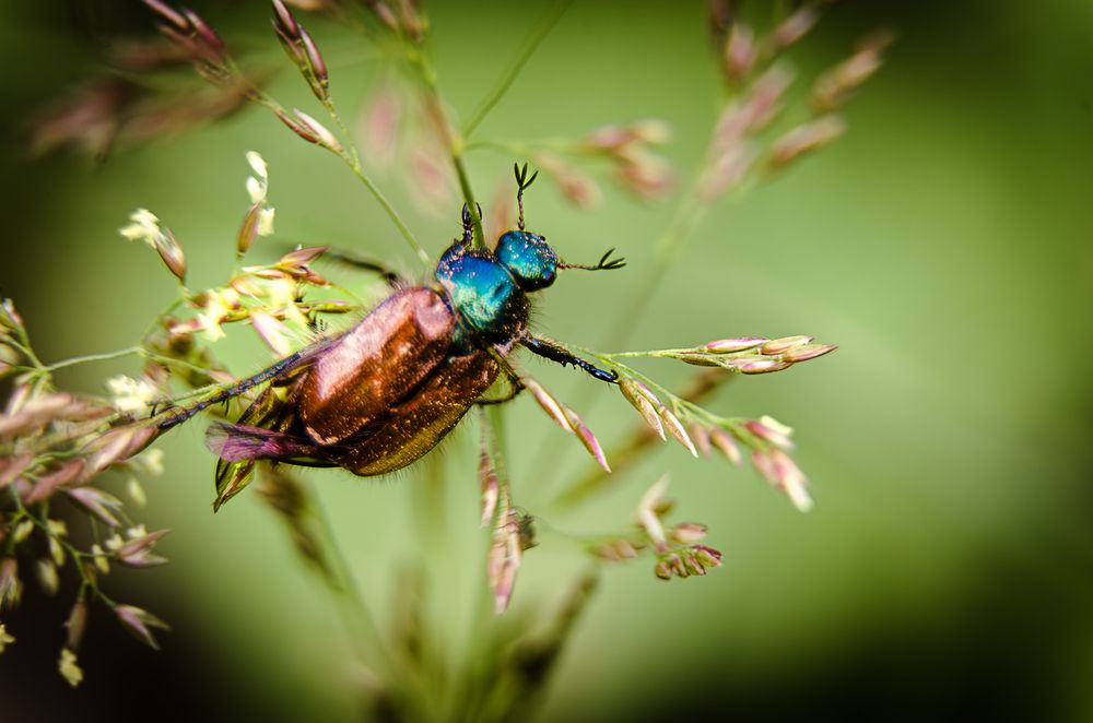 Photograph by Алёна