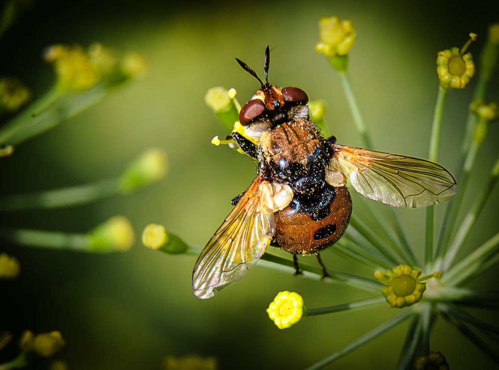 Photograph by Алёна