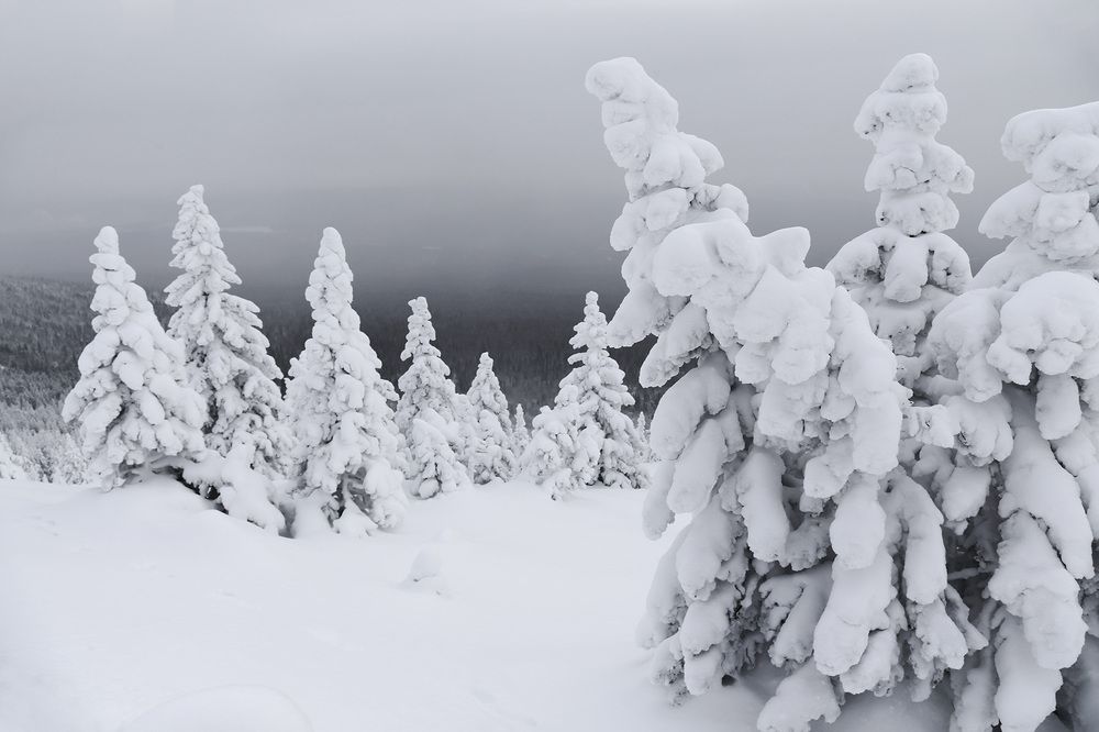 Photograph by Сергей Гарифуллин