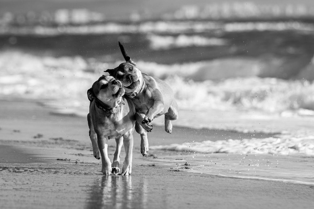 Photograph by Яна Карамышева