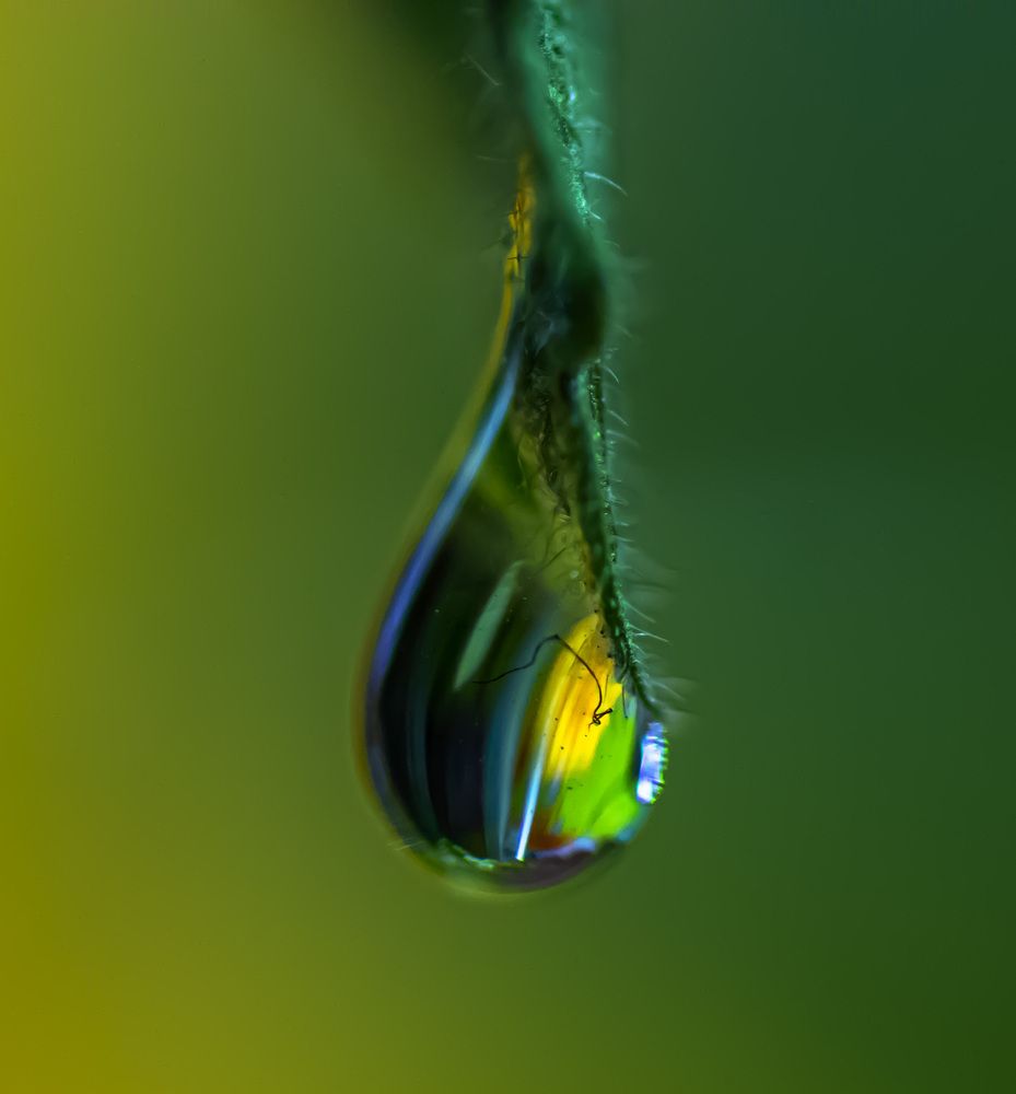 Photograph by Муза Латинская