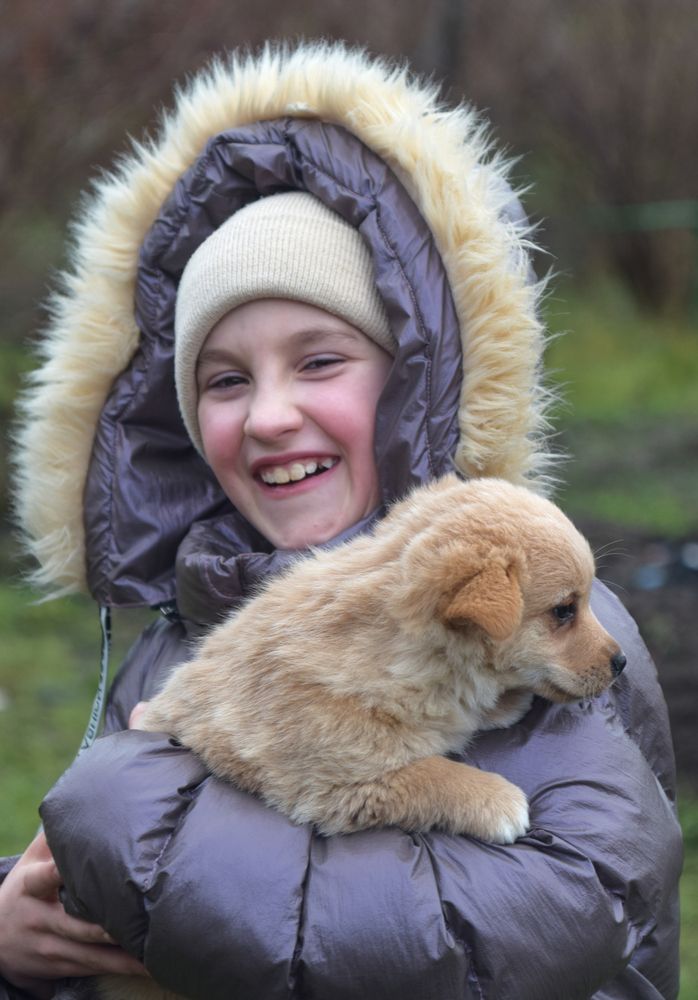 Photograph by Леонид Безручко