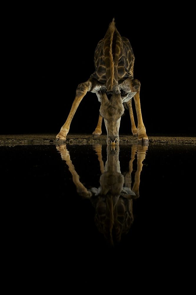 Photograph by Juraj Benčík