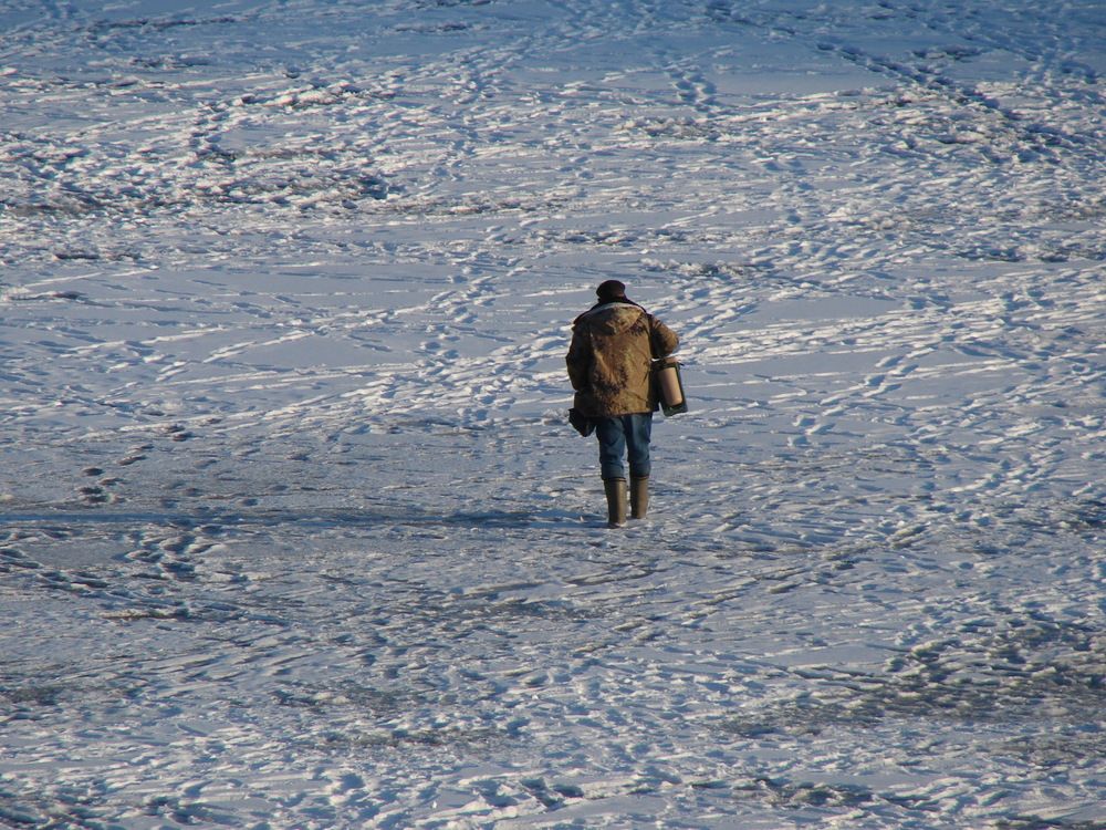 Photograph by Александр Гришин