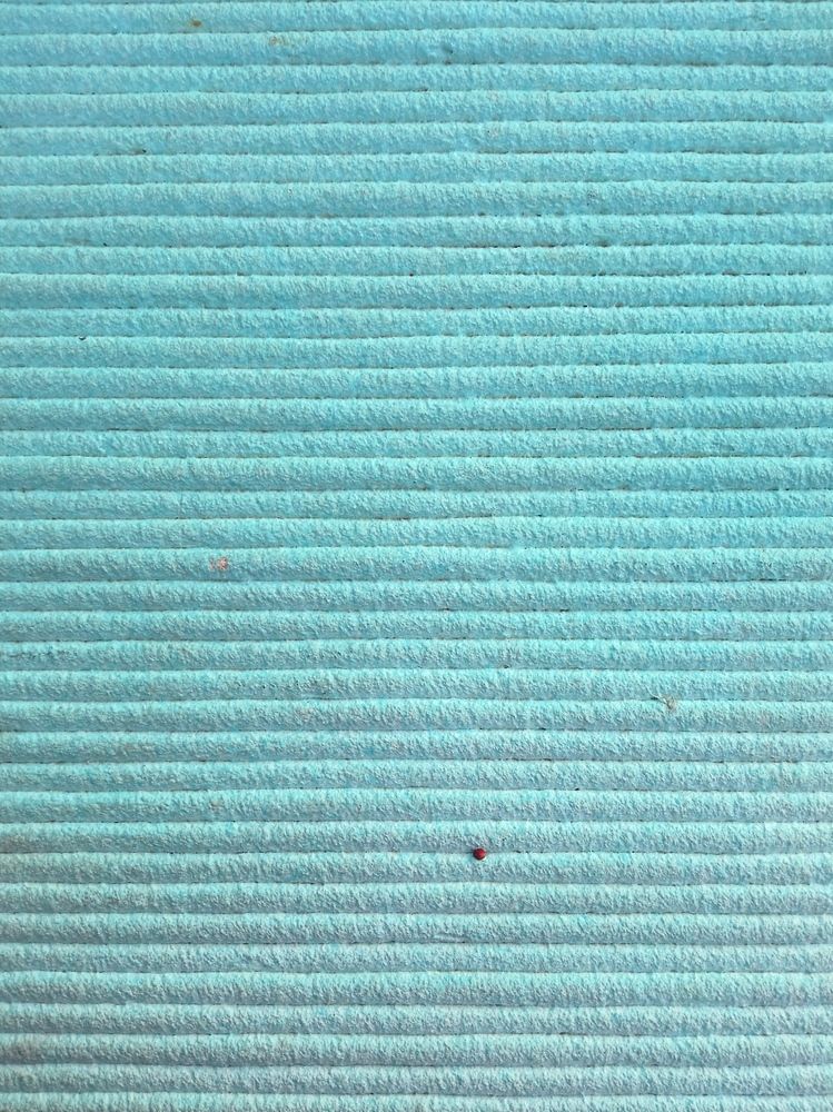 Photograph by Светлана Ищенко