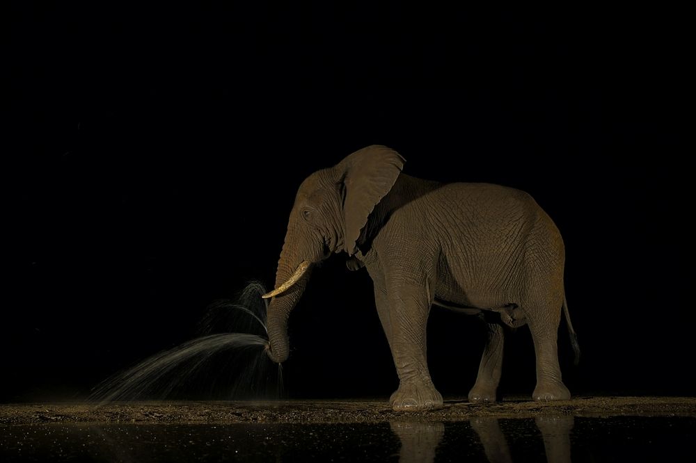 Photograph by Juraj Benčík