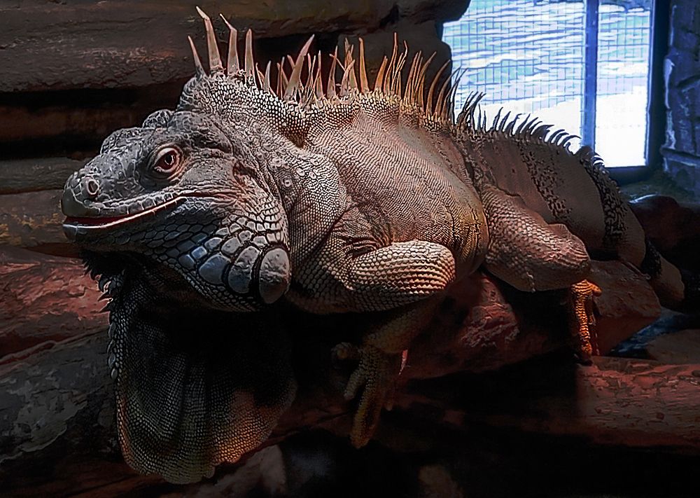 Photograph by Ирина Архипова