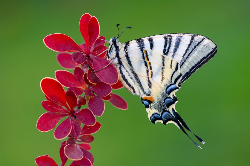 Фотография автора Михаил Шмелёв
