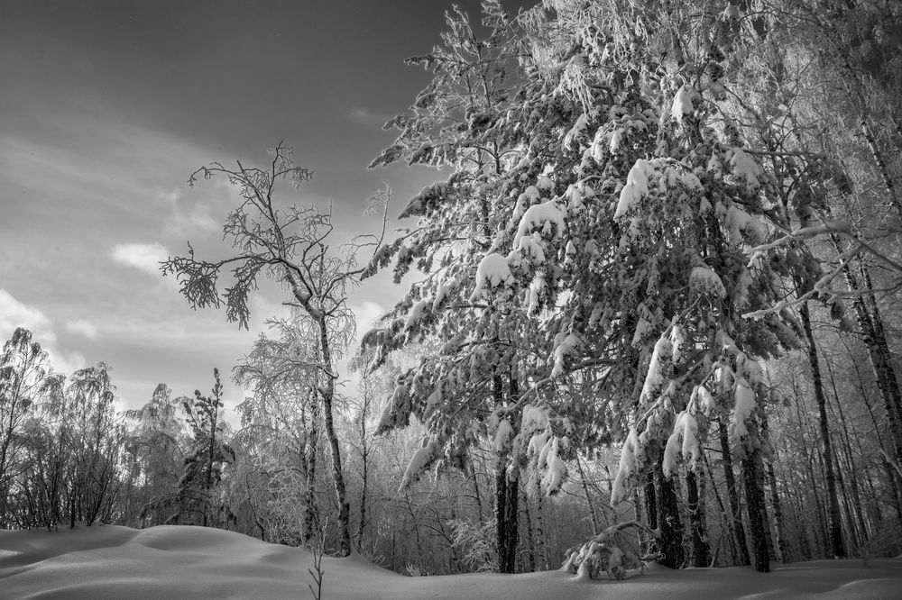 Photograph by Света Назарова