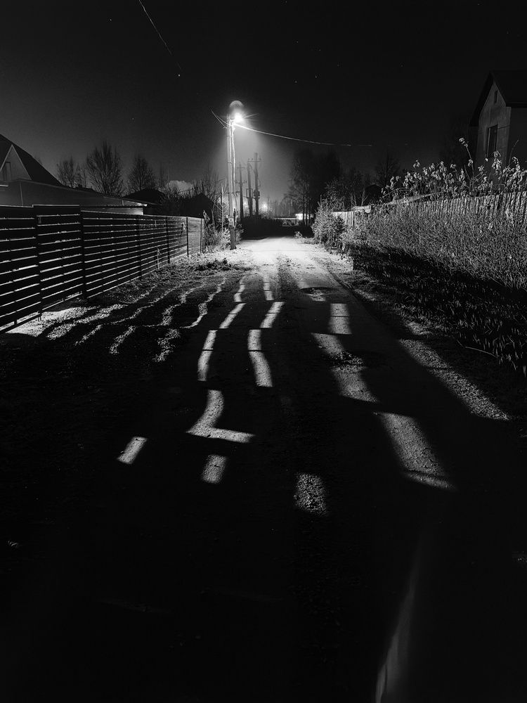 Photograph by Александр Максимов